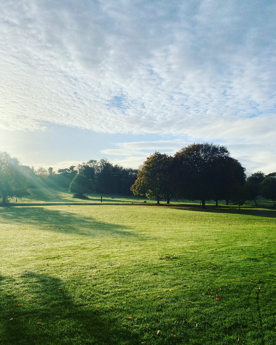 marky01's tweet photo. Morning views from our new @GatheredIreland site. #TheBoatHouse #Farmleigh #newbeginnings https://t.co/stZNV7Z3nm