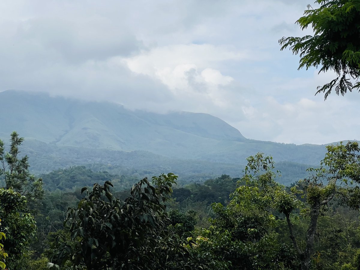 Mountains are calling. Somewhere in Chickmaglur