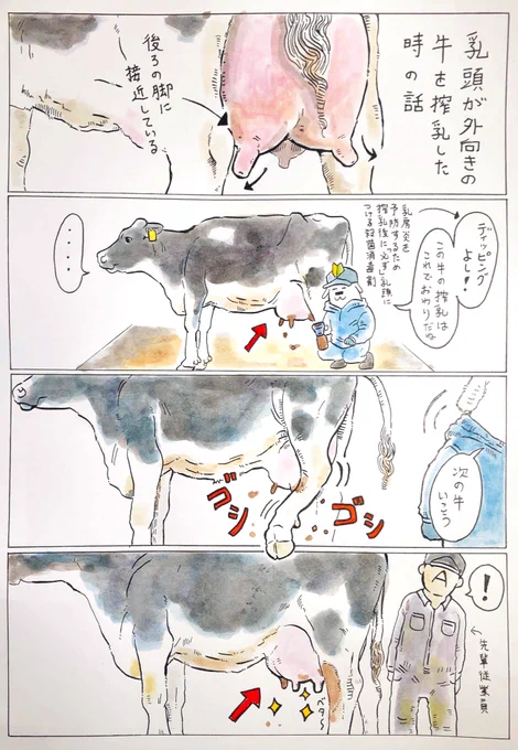 『わかる人にだけわかってほしい搾乳の話』

まだ搾乳初心者だった時の話。 