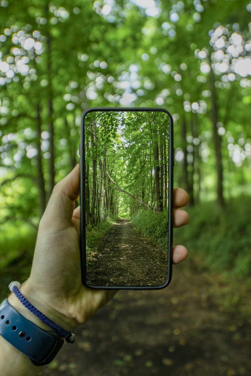 OBovince's tweet photo. Photography meets Nature

#EasternInfluence
#EyemediaUG
#NaturePhotography https://t.co/Q0qhvR14eE