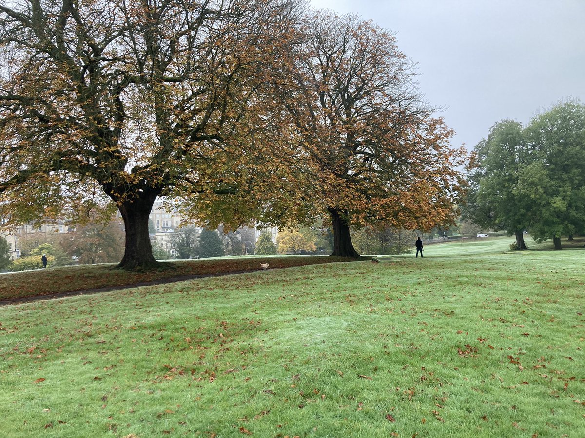 EmilioForBath's tweet photo. Beautiful Autumn 🍂 morning at the #HighCommon #fabulousLansdown https://t.co/trY9GZgD5I