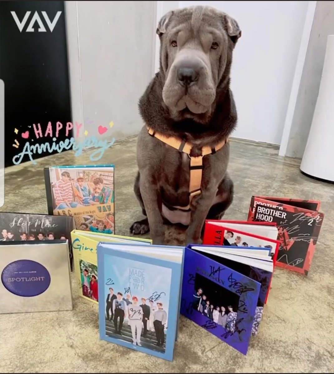 vampz.sggal 에스 지 개오 tweet media