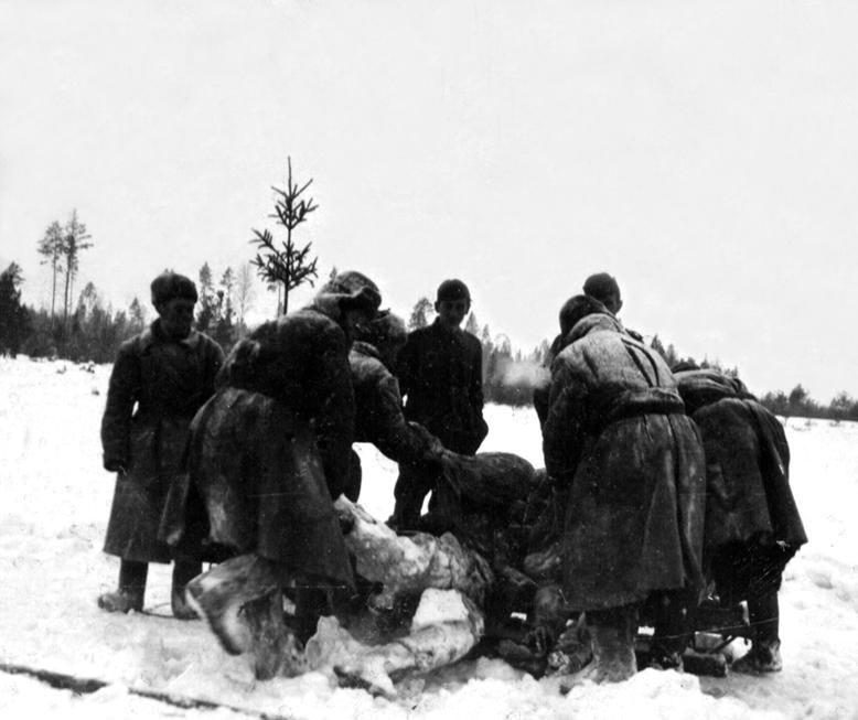 бой 2 мировой войны 1941-1945. ужасы великой отечественной войны. вов жуткие. вов жуткие. ужасы 2 мировой войны войны.