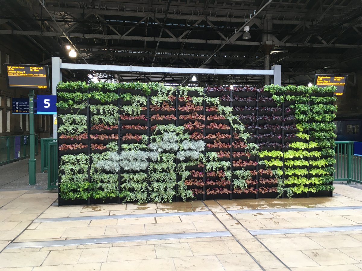 NetworkRailEDB's tweet photo. Loving the @LNER #AzumaLivingWall at Platform 5 &amp; 6. Have you spotted it yet? https://t.co/XW0gxCAjNq