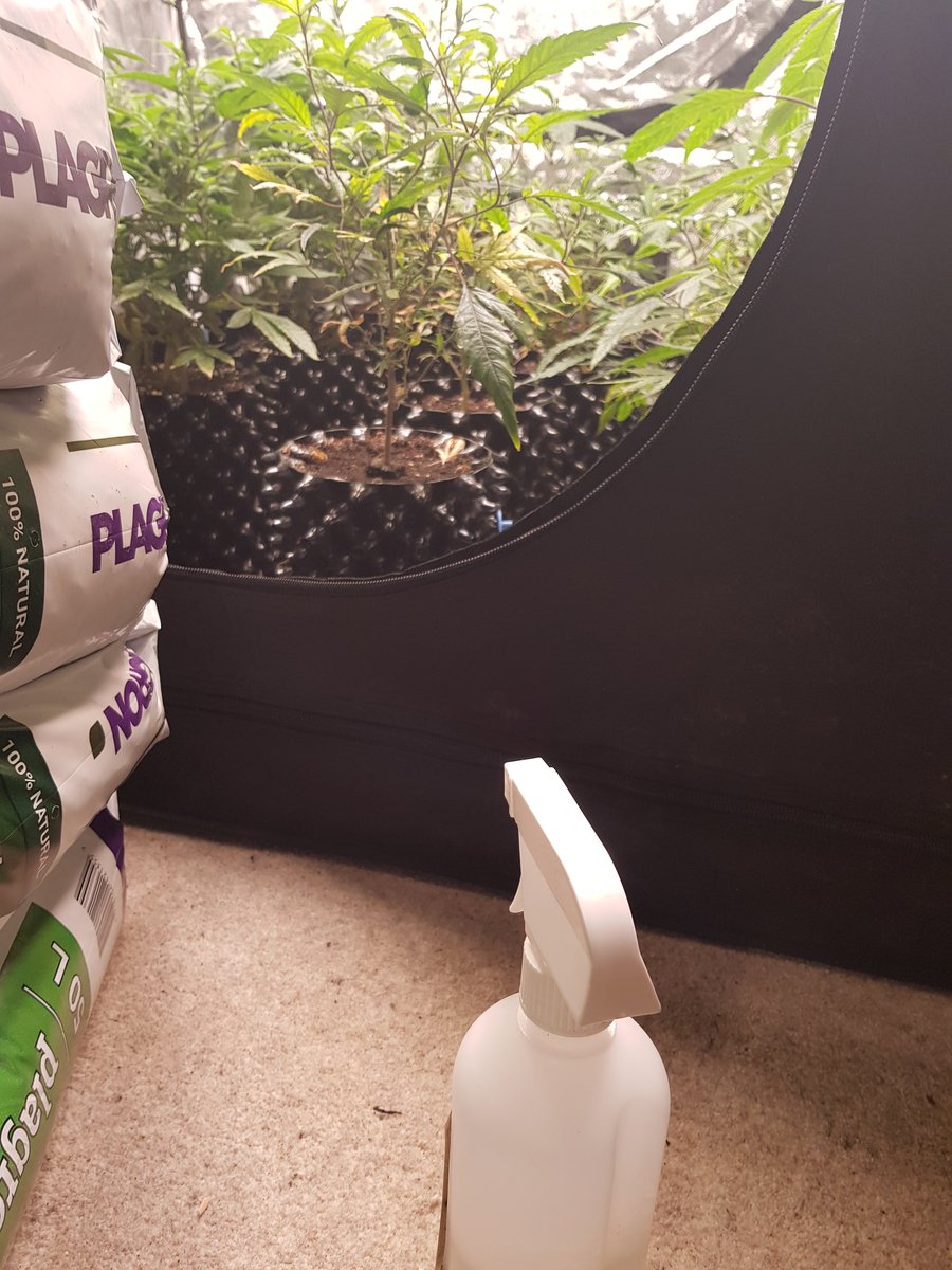 Rural East Devon Police tweet media