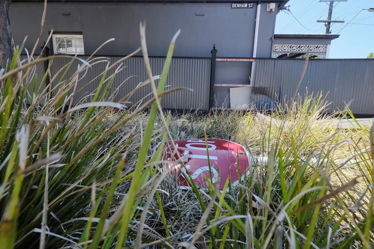 CaraMia200's tweet photo. Street Landscaping brought to you by:
#TimSmithRenovations: Let us care for your Family!

#VicLibs #SpringSt #ResignTimSmith                    (Image: Luis Ascui) https://t.co/b73VzfGaAr