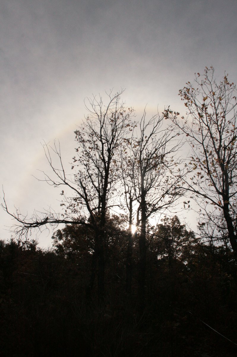 AndaluciaAMAyA's tweet photo. Se concluyen los trabajos de seguimiento previstos en el @Obsnev sobre dos #rodales forestales, uno de #pino albar y otro de #robledal de roble melojo, que fueron objeto de tratamiento #selvícola hace 10 años.
@MedioAmbAND @AndaluciaJunta @AgriculturAnd https://t.co/5758I8SxkK