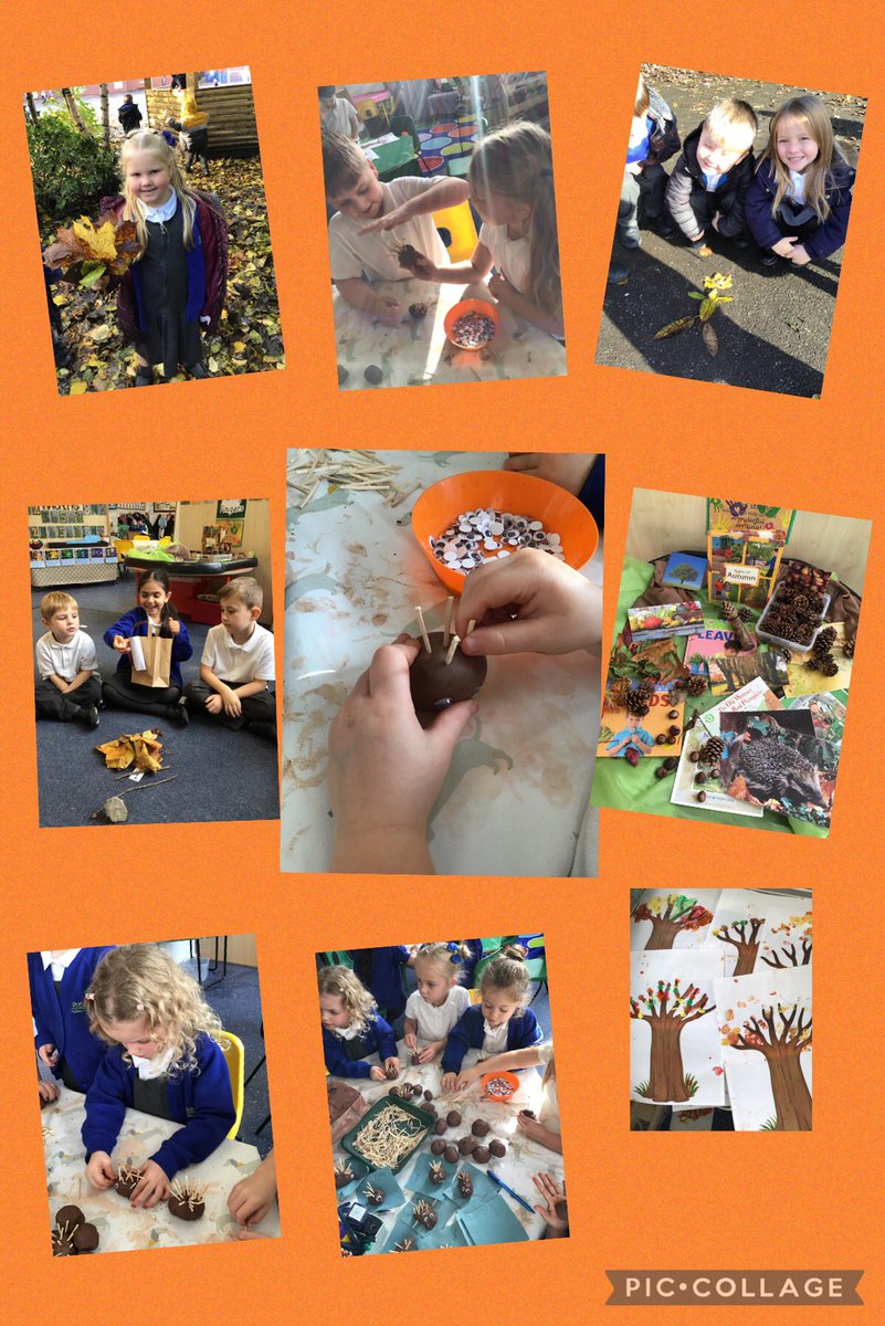 prestolee_1911's tweet photo. Reception have been exploring signs of autumn. We went on an autumn walk, made leaf people, collected autumn leaves and made a very spiky hedgehog. #autumnallaround #exploringseasons #outdoorlearning https://t.co/I8cLwDKqhE
