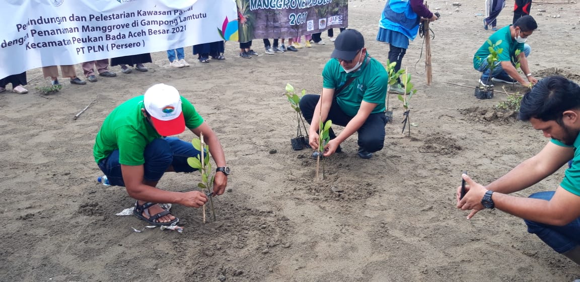 Bpdashlka's tweet photo. Halo #sobathijau kembali pembangunan benteng abrasi dieksekusi. PLN Peduli Perlindungan dan Pelestarian Kawasan Pantai dengan Penanaman Mangrove di Gampong Lamtutu Kec. Peukan Bada, Kab. Aceh Besar.

#tanam25pohon
#marimenanam
#mangrove
#bpdashlkruengaceh https://t.co/tjdDjEqeJw