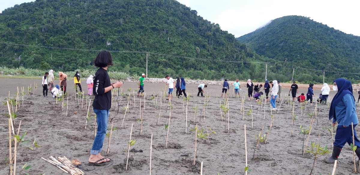 Bpdashlka's tweet photo. Halo #sobathijau kembali pembangunan benteng abrasi dieksekusi. PLN Peduli Perlindungan dan Pelestarian Kawasan Pantai dengan Penanaman Mangrove di Gampong Lamtutu Kec. Peukan Bada, Kab. Aceh Besar.

#tanam25pohon
#marimenanam
#mangrove
#bpdashlkruengaceh https://t.co/tjdDjEqeJw