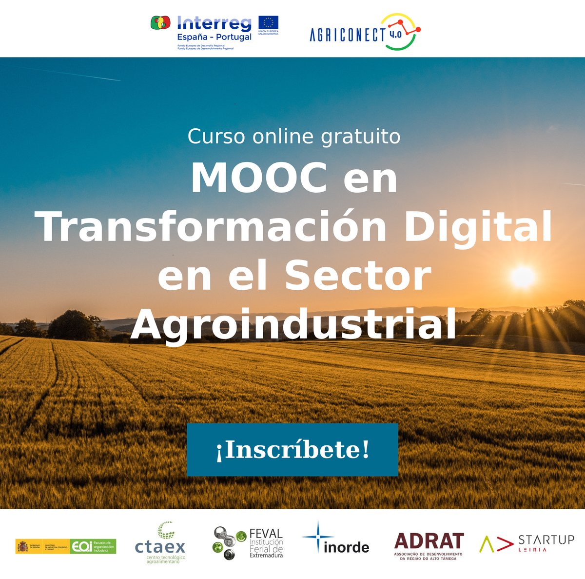 📢 Lanzamos un curso online abierto (MOOC) de #transformacióndigital en el sector agroindustrial.

✅El programa prepara a las empresas para los cambios tecnológicos en el sector agroindustrial, impulsando su competitividad 💻

#noticiaEOI con <a href="/poctep/">Interreg España-Portugal</a>👇
bit.ly/3CIUOrl