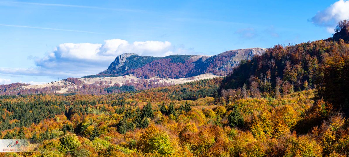 covinnus's tweet photo. #Autumn in #Maramures. View of the Gutâi Mountains.
Picture by  @FelixRomania 
#Romania #tours #travel #toursofRomania #CovinnusTravel #phototours #landscape #photography https://t.co/A5ryxTVqCM