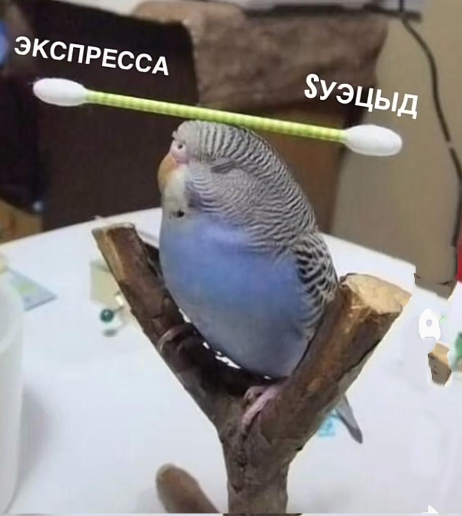 freggger's tweet photo. Последнее селфи - вы снаружи
Последний мем - вы внутри https://t.co/AmmJXympG6