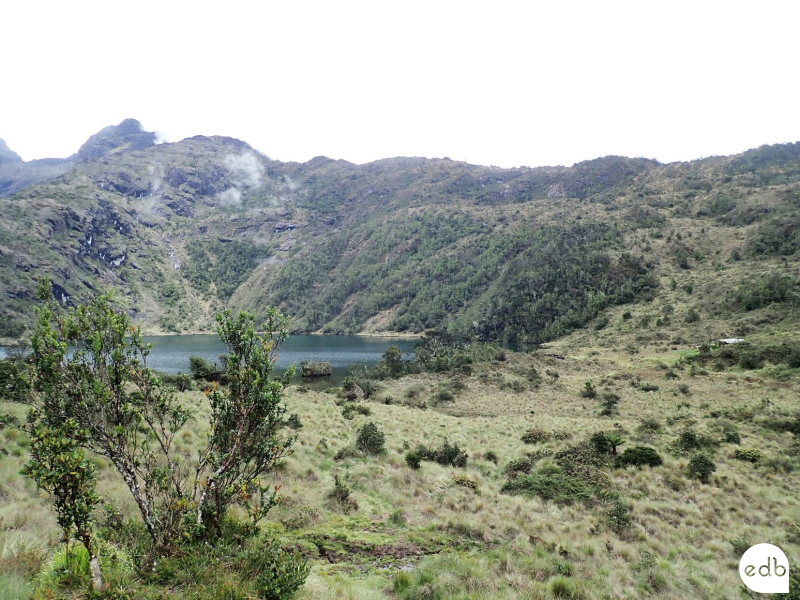 EDB_Lab's tweet photo. #Science 🔎
Les #Papous présentent des signes d’#adaptation #biologique à l’#altitude
Travaux publiés dans la revue @PLOSONE impliquant François-Xavier Ricaut & Nicolas Brucato
Brève @CNRS ➡️ https://t.co/H1cxuJDGVf
📗 https://t.co/nohJyFx4k5 https://t.co/0XZ6FfpQv5