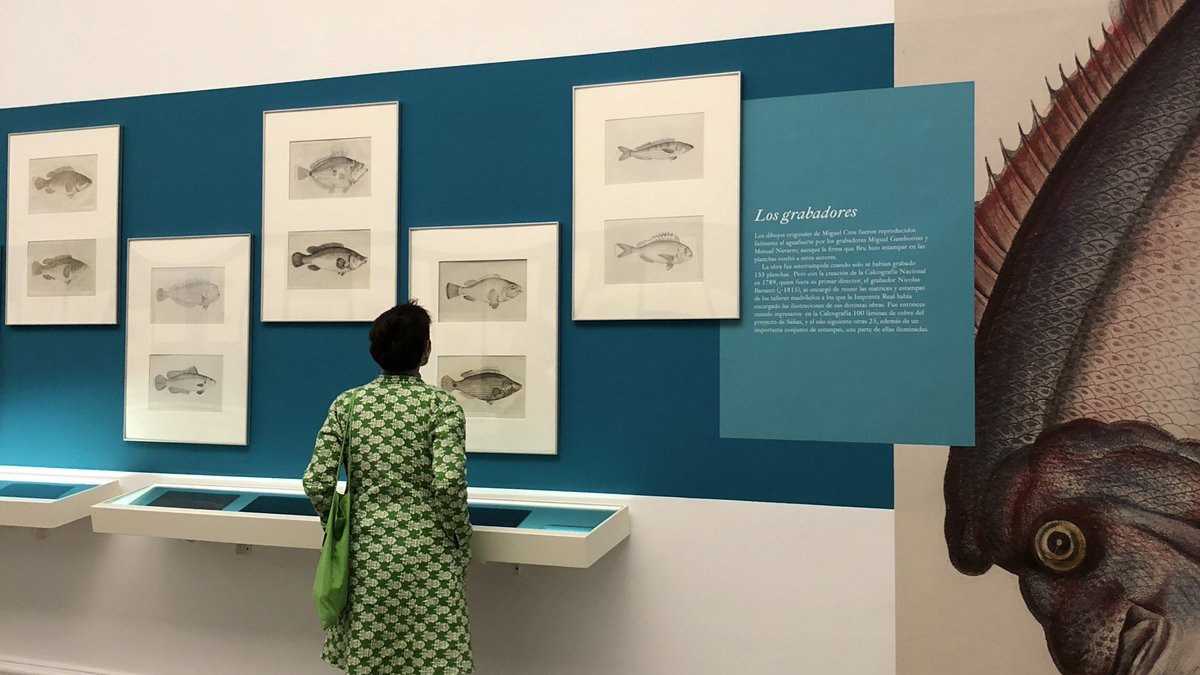 ¿Has visto ya la exposición ‘Peces de los mares de España, Un proyecto ecológico del siglo XVIII’?
Hasta el 9/1 en la Academia 

realacademiabellasartessanfernando.com/es/actividades…