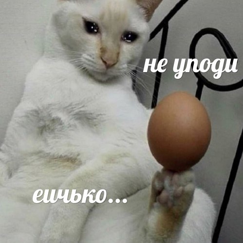 mcr_wave's tweet photo. Последнее селфи - вы снаружи
Последний мем - вы внутри 
???? https://t.co/45GCLEXfRD