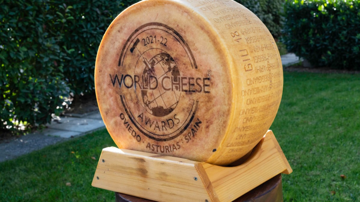 ParmesanUK's tweet photo. The #WorldCheeseAwards are underway!
#ParmigianoReggiano is a proud sponsor of this event, if you’re one of the lucky few attending the @cheesefest2021 , look out for our #PRauction of a 21-year-old cheese: https://t.co/biXcXxqUDd
#worldcheeseawards #internationalcheesefestival https://t.co/MlZV4l2BZV