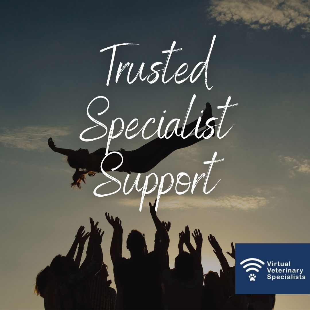 vvs_vet's tweet photo. Trusted specialist support at the touch of a button.
"It's incredible. In my personal experience, there is nothing better. I would do VVS consultations all day!" Dr Pascal Hoberg MRCVS
#virtualspecialist #veterinarysupport #specialistsupport #lvs #lvs2021 #londonvetshow https://t.co/jgiUwjGhTQ