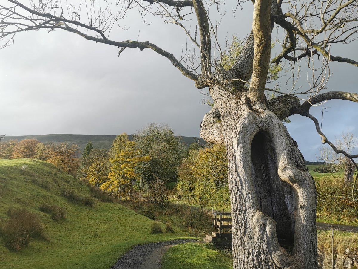 CampWithStyle's tweet image. A few pics from the most fabulous weekend hill walk I did with a dear friend. I've been wanting to walk up Pendle Hill for years and finally got the chance. Well worth the wait!

#happieroutside
#outdoorbloggers
#walking
#wildwomen
#pendlehill