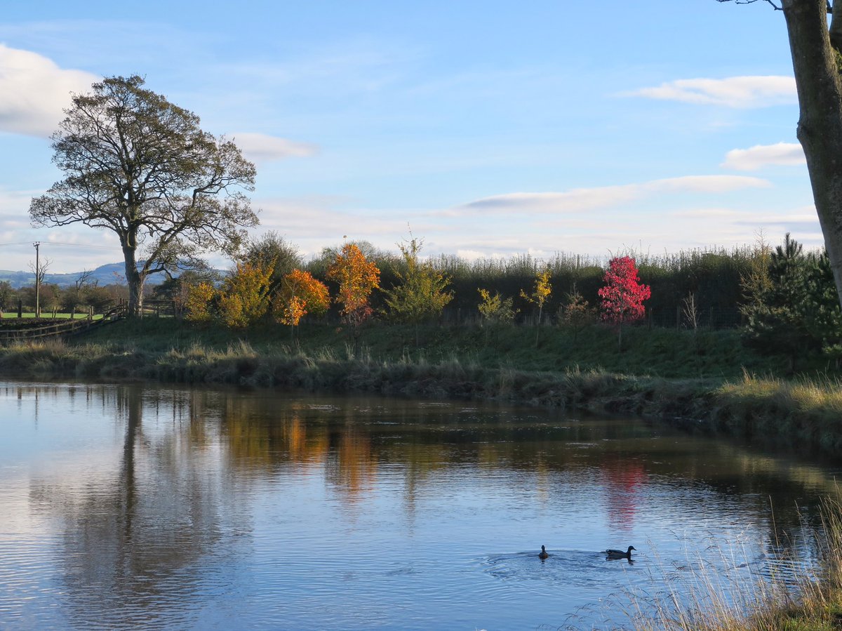 The Cartford Inn tweet media