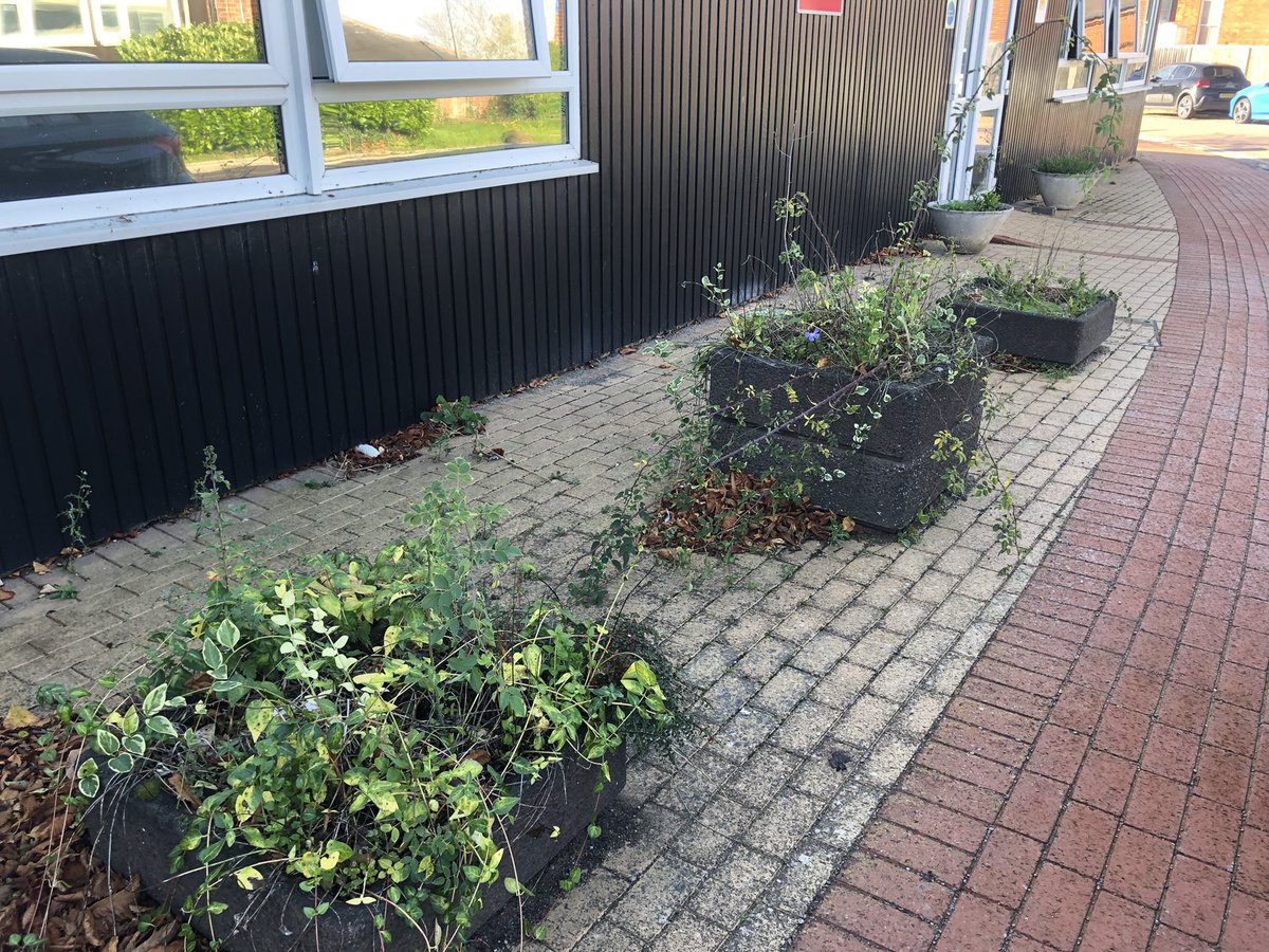 ElftOt's tweet photo. Today Services for People who have a learning disability have service users from BOLD visiting us to help refresh the planters outside the CRC at Twinwoods… here’s the before pic! Updates later… 🍃🌹🍁🌻#healthequity #OTweek💚 @RCOT_PLD @theRCOT https://t.co/bJr56CmEzH