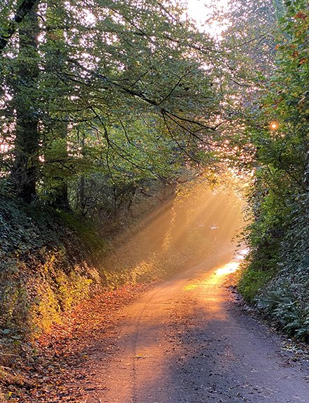 PeterCruttenden's tweet photo. Frosty morning in Steep..... https://t.co/NNnbAfYi4D