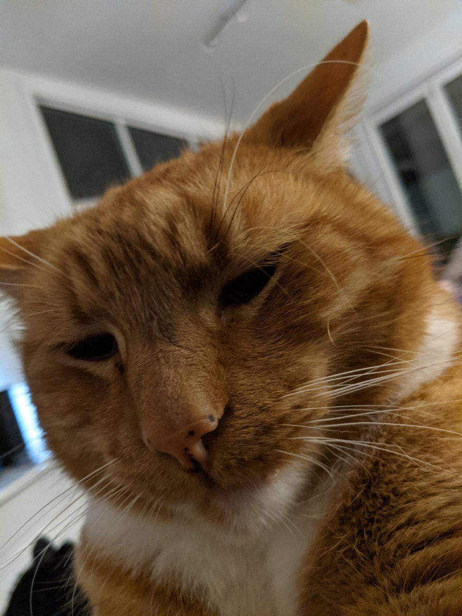 fuzzytau tweet picture