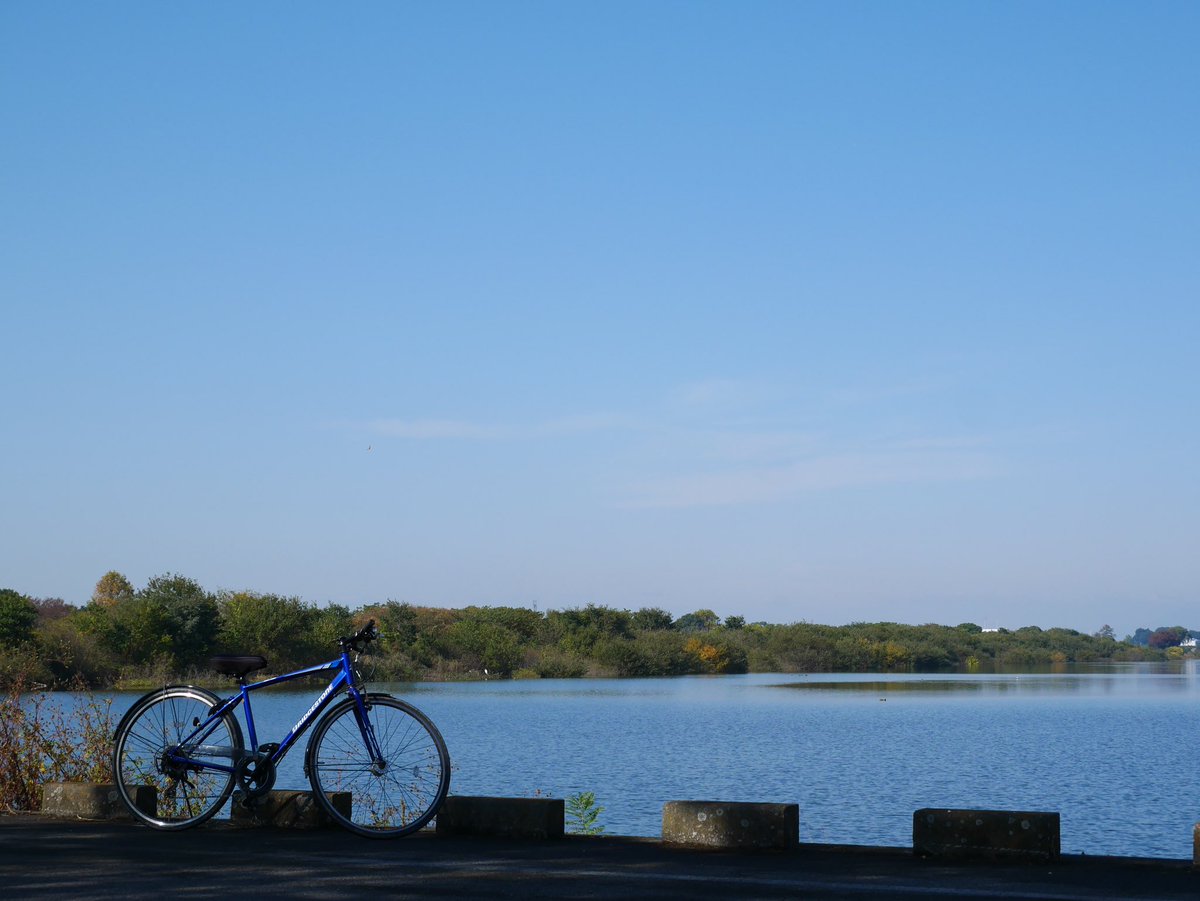 weed_spirit16's tweet photo. めちゃめちゃ天気良くて無風というサイクリングに絶好の日なので愛車のクロスバイクTB1で谷中湖とその近くにある三県境に
ちなみに平地に三県境があるのは国内でここだけらしいです

#渡良瀬遊水地 
#渡良瀬貯水池 
#BRIGDESTONE
#TB1 
#LUMIX 
#G8 https://t.co/Q9OohohvLe