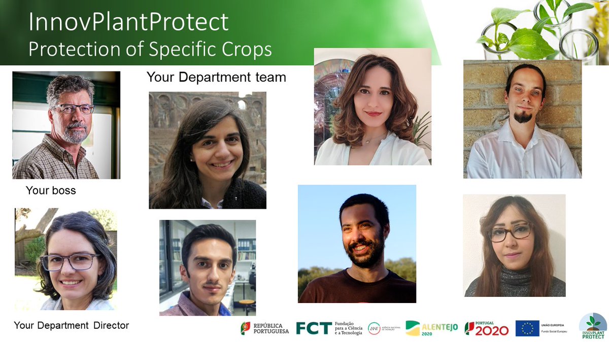 MSc researcher position open until November 12th at <a href="/innovplantpro/">InnovPlantProtect</a>, Protection of Specific Crops Department. Apply now👇 euraxess.ec.europa.eu/jobs/696248

#hiring #planthealth #PlantScienceJobs #phytopathology #cropprotection #pestsanddiseases #molecularphytopathology #agronomy