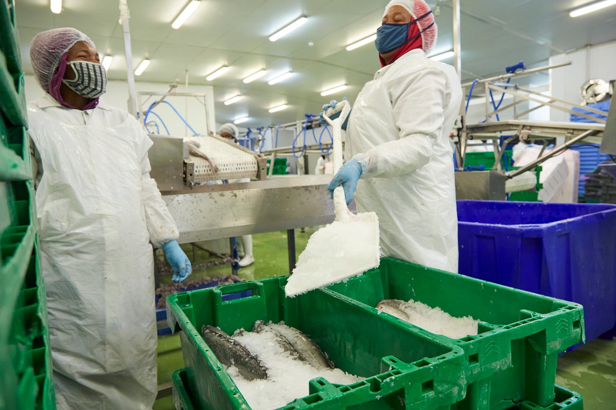AtlantisASP's tweet photo. Our symbiotic partnerships with Atlantis Seafood Distributors allow our factory to demonstrate industry-leading excellence in the sourcing, trading and distribution of quality specialised seafood products. #OurAtlantis #BuildBackBetter #TransformingFisheries  #Fishing #Seafood https://t.co/XTmhdnFDpi