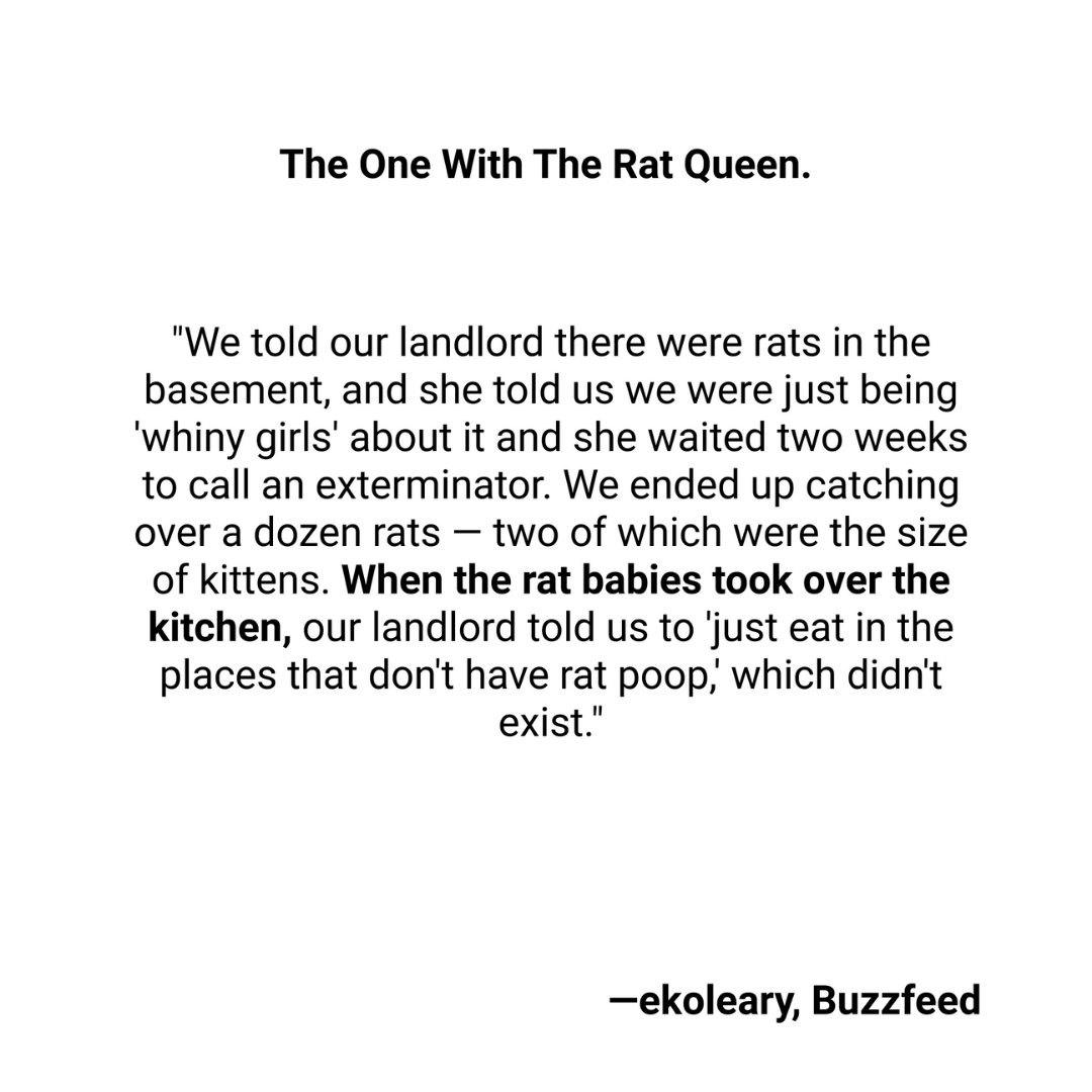 usecheckboard's tweet image. The one with the Rat Queen. Do you have any unwanted rat pets at your place? If you do, what are their names?
.
.
.
.
.
.
.
.
#tenantstories #wildlandlord #worstlandlord #landlordhorrorstory #tenantmeme #funnylandlord