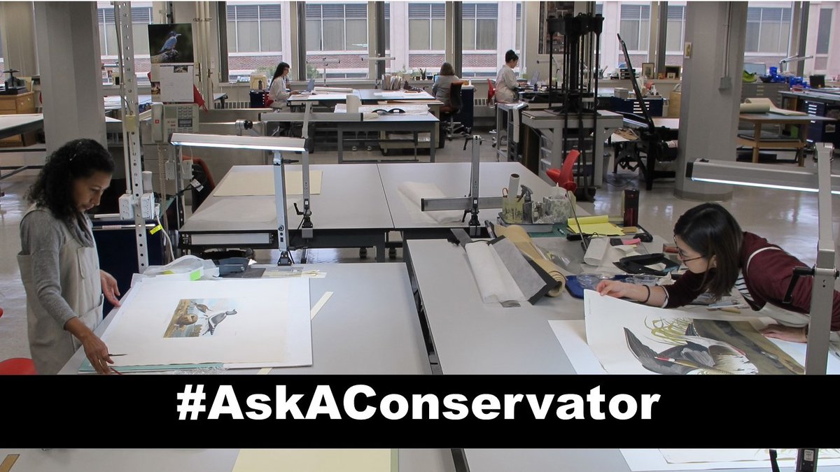 To celebrate #AskAConservator Day,  NEDCC will be on FB Live, Thurs, Nov 4, at 2 pm.  Questions about your book or photograph collections? Interested in becoming a conservator? Book Conservator Mary French and Photo Conservator Monique Fischer will be on hand to take questions.