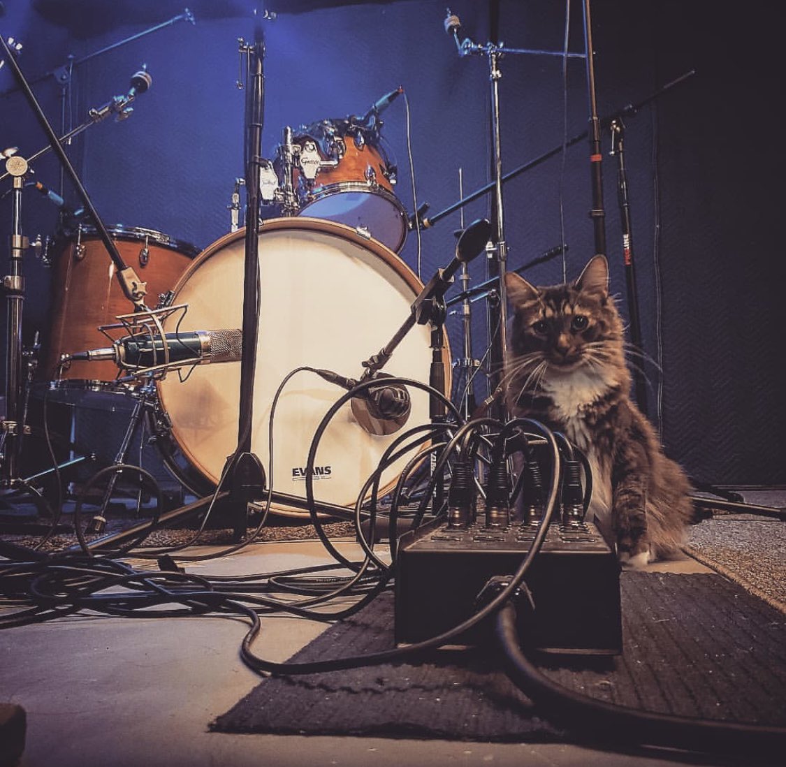 SoundSplitter's tweet photo. Let’s make a record! Unique gear, fun environment, and affordable rates for recording, mixing and mastering. https://t.co/gPzMMGwgor https://t.co/xWg0dpNGEh