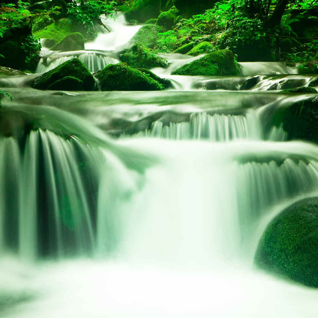 BirchmierSara's tweet image. Wealth Wednesday! Money should be flowing to you like this river. IS IT? #wealthwednesday #wealthcodes #manifestation