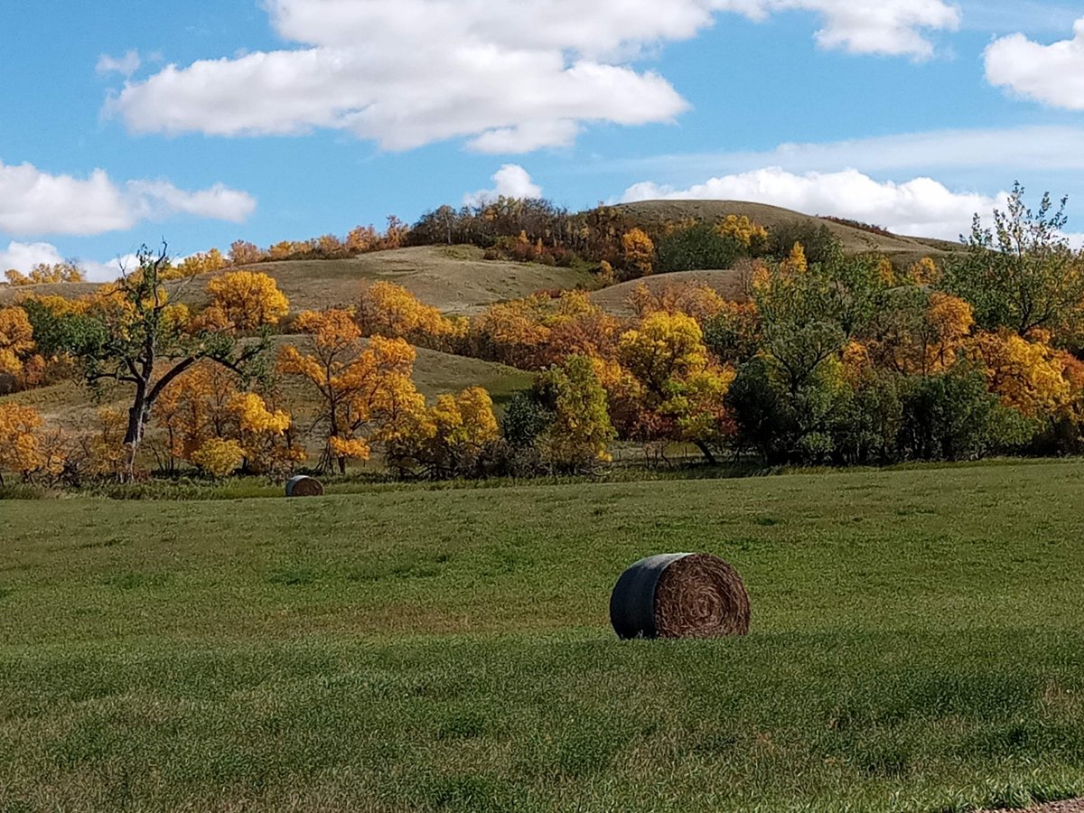 "Every year, around my birthday....I give myself a night off at a hotel in town." Find out how one #Saskatchewan Mom pressed the re-set button on a short, Mom-cation road trip: ow.ly/FhrZ50GCo8P