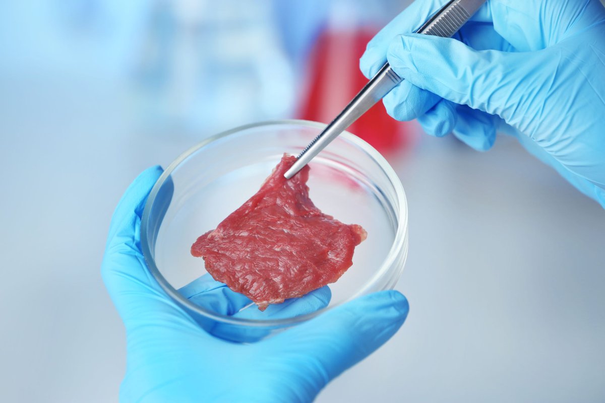 stkhfoods's tweet photo. #CultivatedMeat offers the promise of the real meat experience without the animal.
#CulturedMeat #CleanMeat #3Dprinting #Biofabrication #SustainableMeat #NextMeat #FutureMeat #MeatTheFuture #MeatNext #SustainableMeat #AnimalFreeMeat #CellularMeat #3DMeat #PrintedMeat $MITC https://t.co/c1ps0q06tJ
