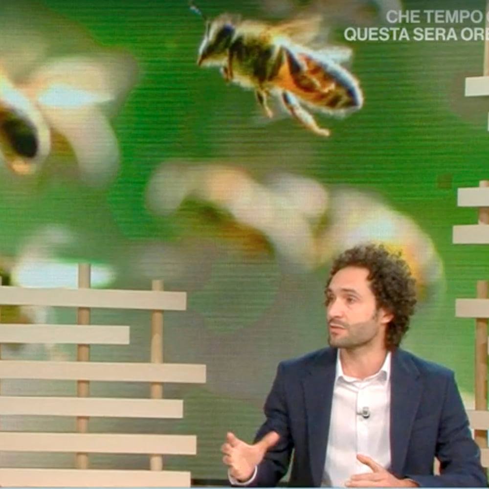 Simone Tosi tweet media