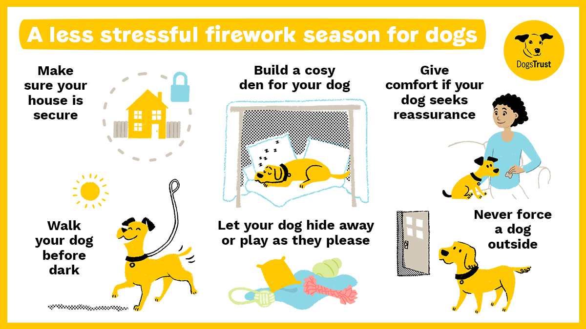 #WednesdayWisdom ahead of the #Fireworks 🎆
👉 Make your house and garden escape-proof. Dogs can try to run away if they’re scared. 🐕
👉 Close your windows and curtains, turn the lights on, as well as the TV to help disguise the noise. 📺
More tips: bit.ly/2Xb3bwo