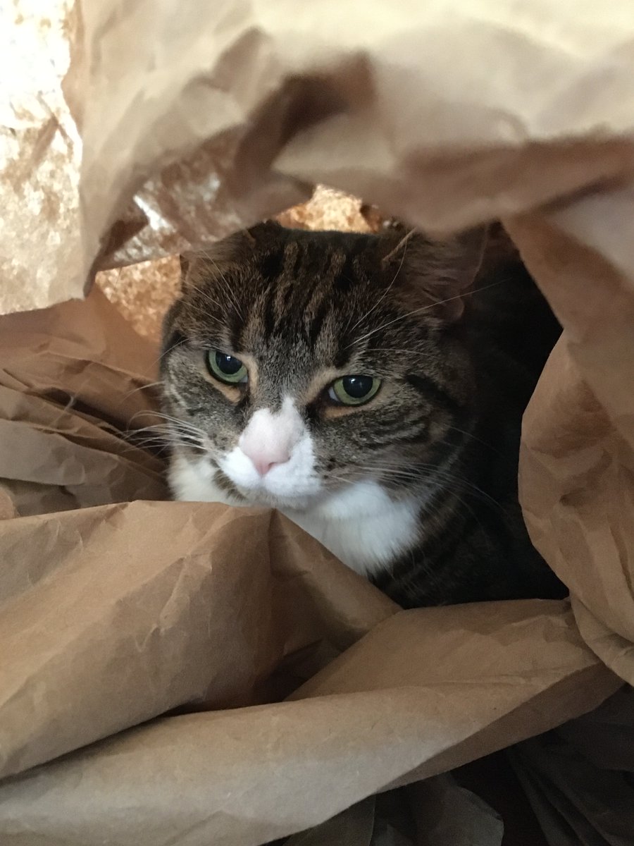 grabbity's tweet photo. It's very cosy in here. https://t.co/KhqpoXm0ij