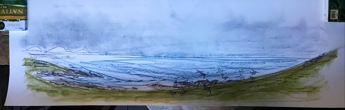 cat frampton tweet media