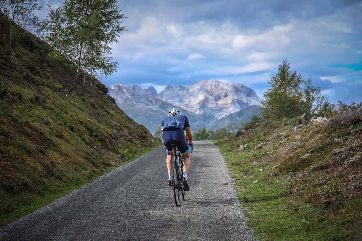 The Ride tweet media