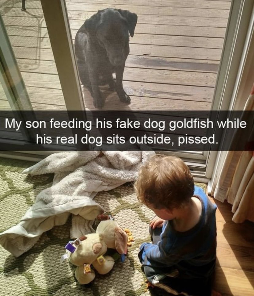 WholesomeMemes (@wholesomememe) on Twitter photo 