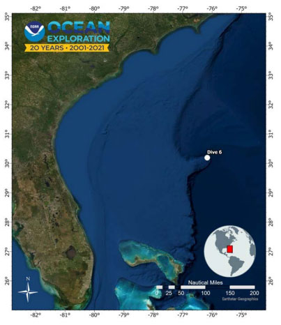 oceanexplorer's tweet photo. On bottom — 3,770 m (2.34 mi) below ocean's surface! 

Fun fact about today's #Okeanos dive site: Blake Spur escarpment is the steepest known location on the U.S. eastern seaboard.

Join us LIVE as we unravel mysteries of Blake Spur's shear walls: https://t.co/ScOhpINB18 https://t.co/fyjkCIfEO7