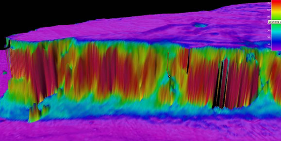 oceanexplorer's tweet photo. On bottom — 3,770 m (2.34 mi) below ocean's surface! 

Fun fact about today's #Okeanos dive site: Blake Spur escarpment is the steepest known location on the U.S. eastern seaboard.

Join us LIVE as we unravel mysteries of Blake Spur's shear walls: https://t.co/ScOhpINB18 https://t.co/fyjkCIfEO7