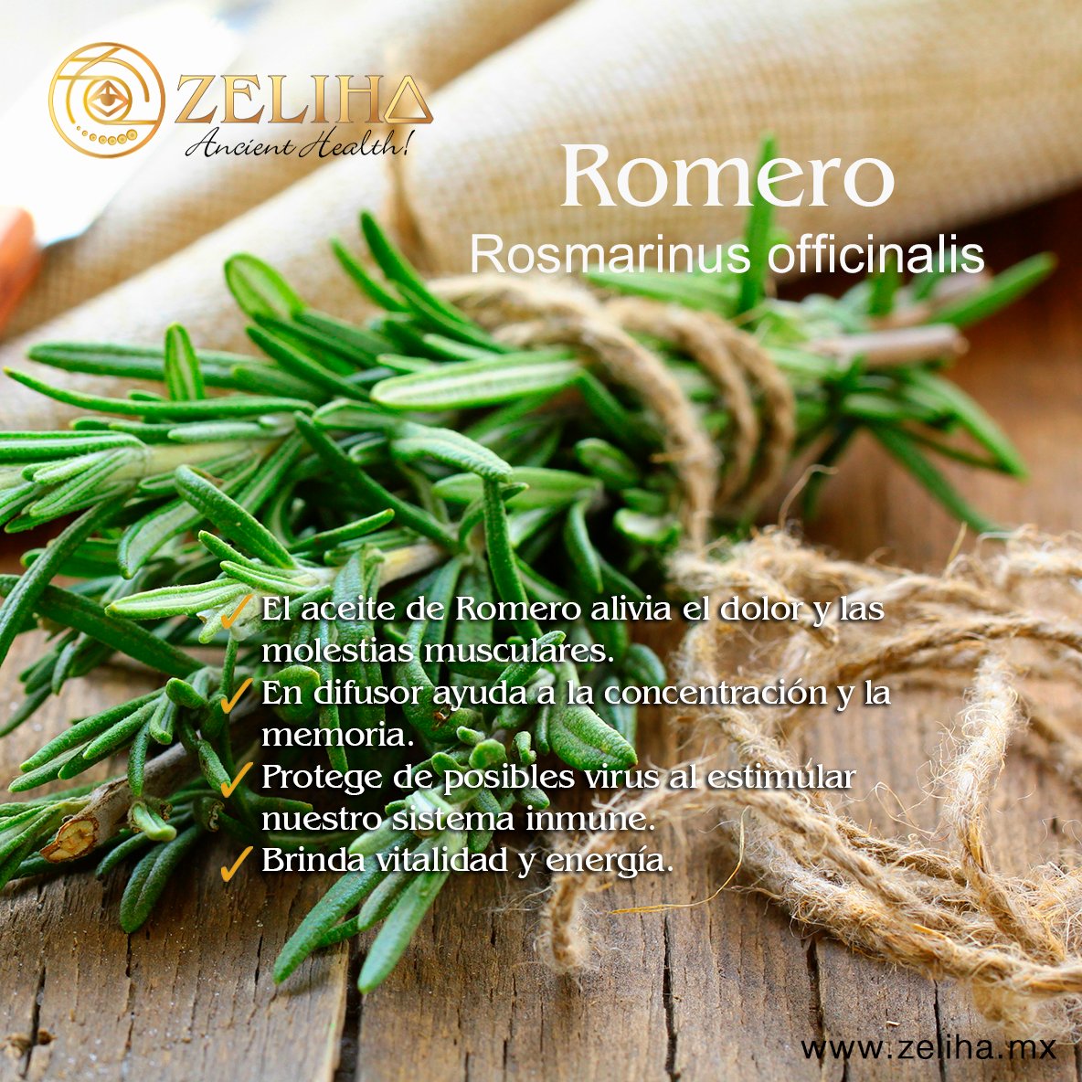 zelihamx's tweet photo. @Zeliha tiene para ti un #aceite  #esencial de #romero que le da muchos beneficios a tu salud. Conocelos en https://t.co/SBxDhW6H4H
 ¡Te va a encantar! https://t.co/rAznT5KCZl