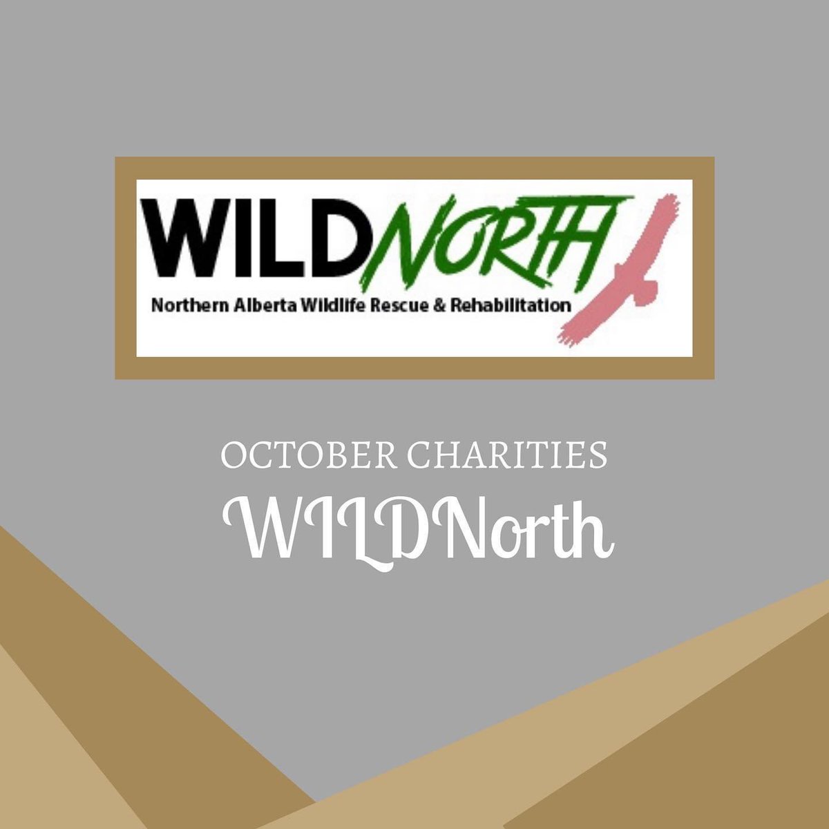 Introducing the second Charity for our November 8th event: <a href="/wildnorthab/">WILDNorth</a> 

Head on our to our Facebook or Instagram page to learn more about this Charity!