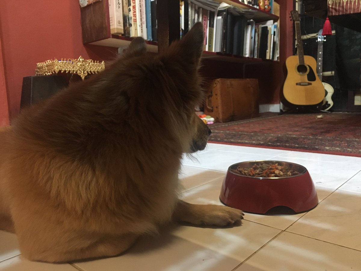 ｶﾁｽﾖｳｺ Peace Twitter