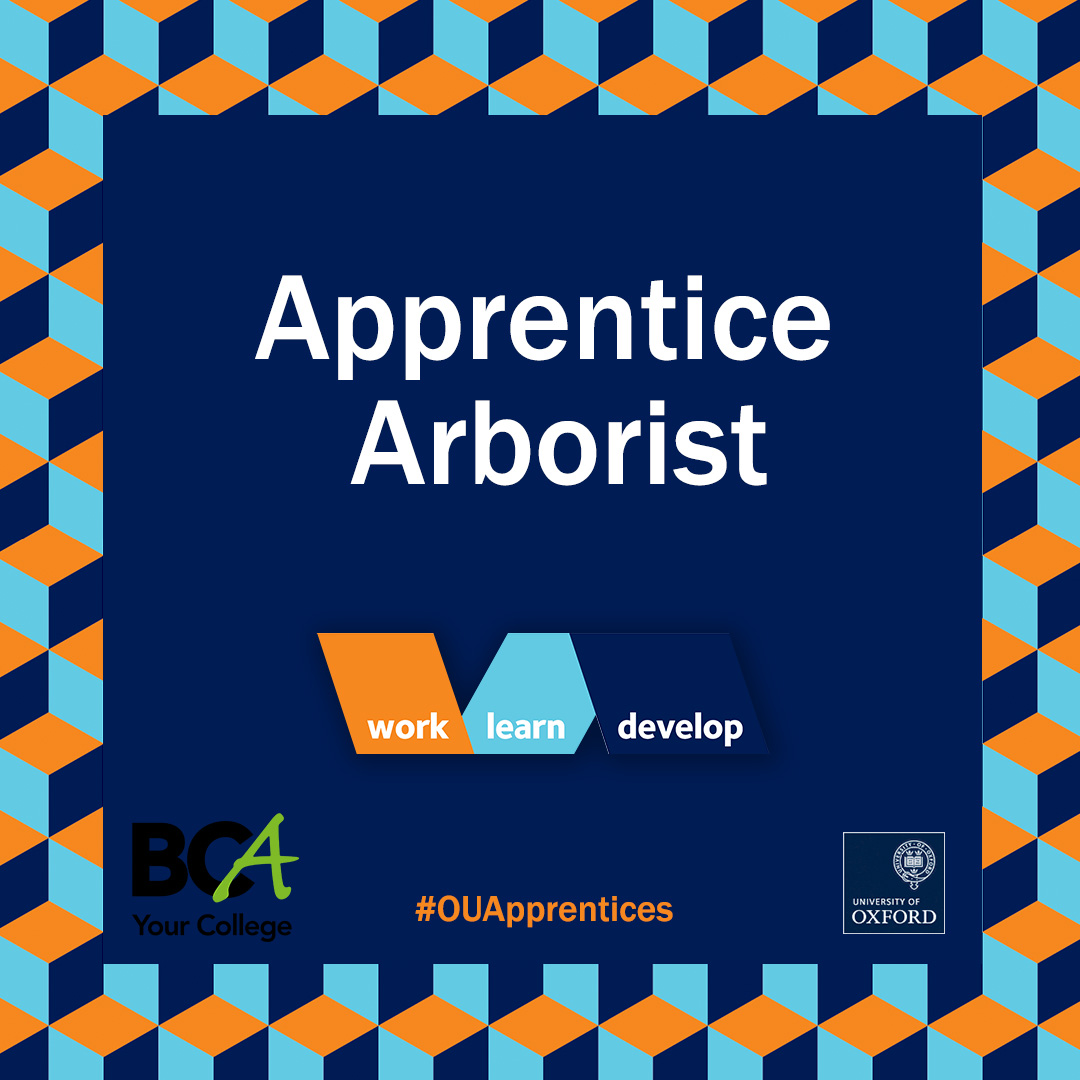 OxUniApprentice's tweet photo. NEW VACANCY📣: We have an #Apprentice Arborist role in the Harcourt Arboretum, studying for a Level 2 Arborist #apprenticeship with @BCA_Maidenhead🌳🍂🍁
Apply now⚡️ (closing 3 Dec) > https://t.co/XlDjQ4xFFU #OUApprentice #vacancy @OxonApprentice @OxLEPSkills @OBGHA https://t.co/9QGU54wH71