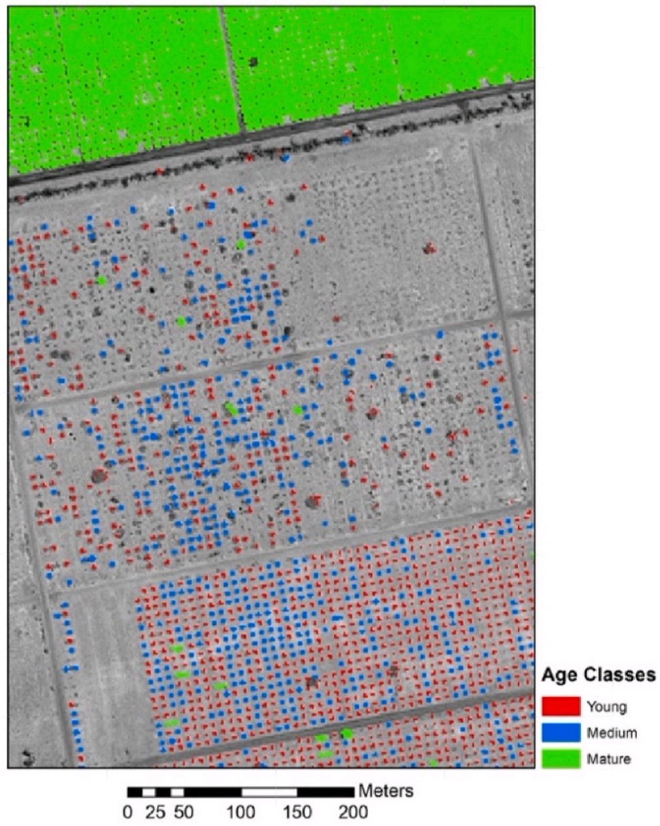 BD_007's tweet photo. Polygons.
Date #Palm plantations in #UAE at different age stages:
1. Young: < 5 years
2. Medium: 5–10 years
3. Mature: ≥ 10 years
After applying object-based #classification method on sub-meter #WorldView2 imagery, then, #Vectorizing.
#RemoteSensing #GIS #30DayMapChallenge https://t.co/wjwwyD51AE