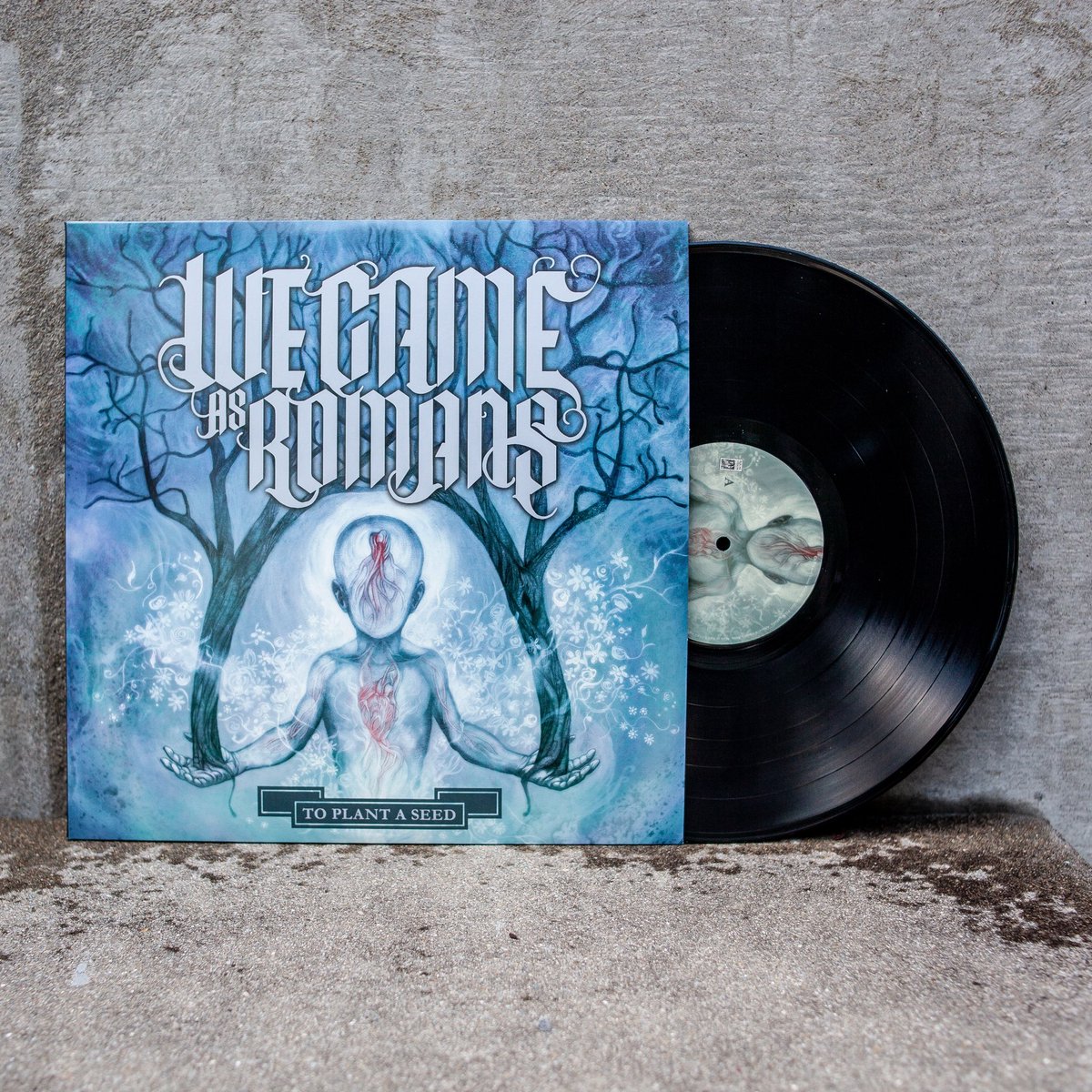 wecameasromans's tweet photo. Today marks 12 years of ‘To Plant A Seed’! 🖤 Thank you for supporting us over the past decade +. 🤯 

We’ve loved performing all of the songs on this album this tour &amp; to celebrate we’ve released a limited amount of TPAS vinyls! https://t.co/CHpsnXF6PB https://t.co/TUqOfseKon